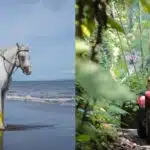 Bali Quad Biking Adventure and Horse Riding Tour