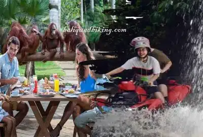 Kuber Bali ATV and Breakfast Orangutan Bali Zoo