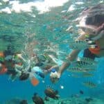 snorkeling Blue lagoon - Kuber Bali ATV and Snorkeling Blue Lagoon