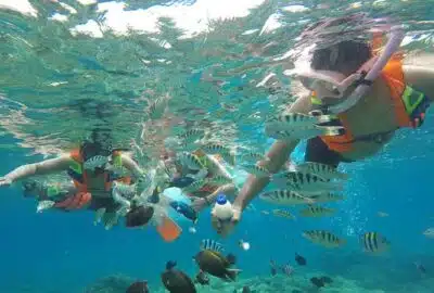 snorkeling Blue lagoon - Kuber Bali ATV and Snorkeling Blue Lagoon