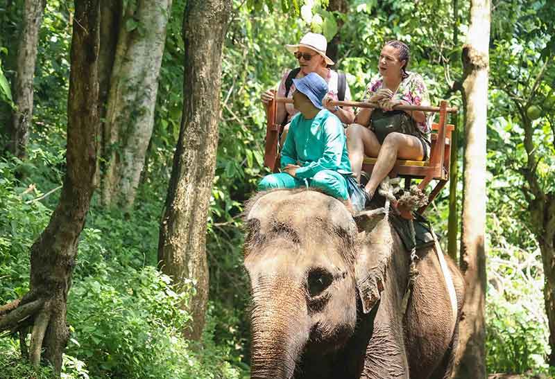 Elephant Riding at Bali Zoo