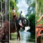 Bali Quad Bike, Breakfast with Orangutan and Elephant Ride