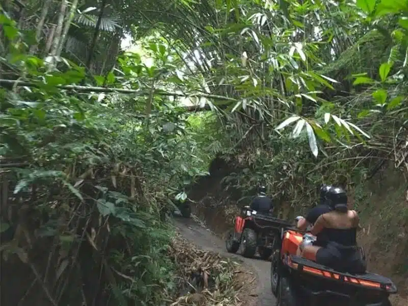 ATV Payangan Bali – Real Jungle ATV Adventure Ubud